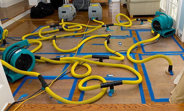 Professional Emergency Water Removal technician working in Wallington, NJ